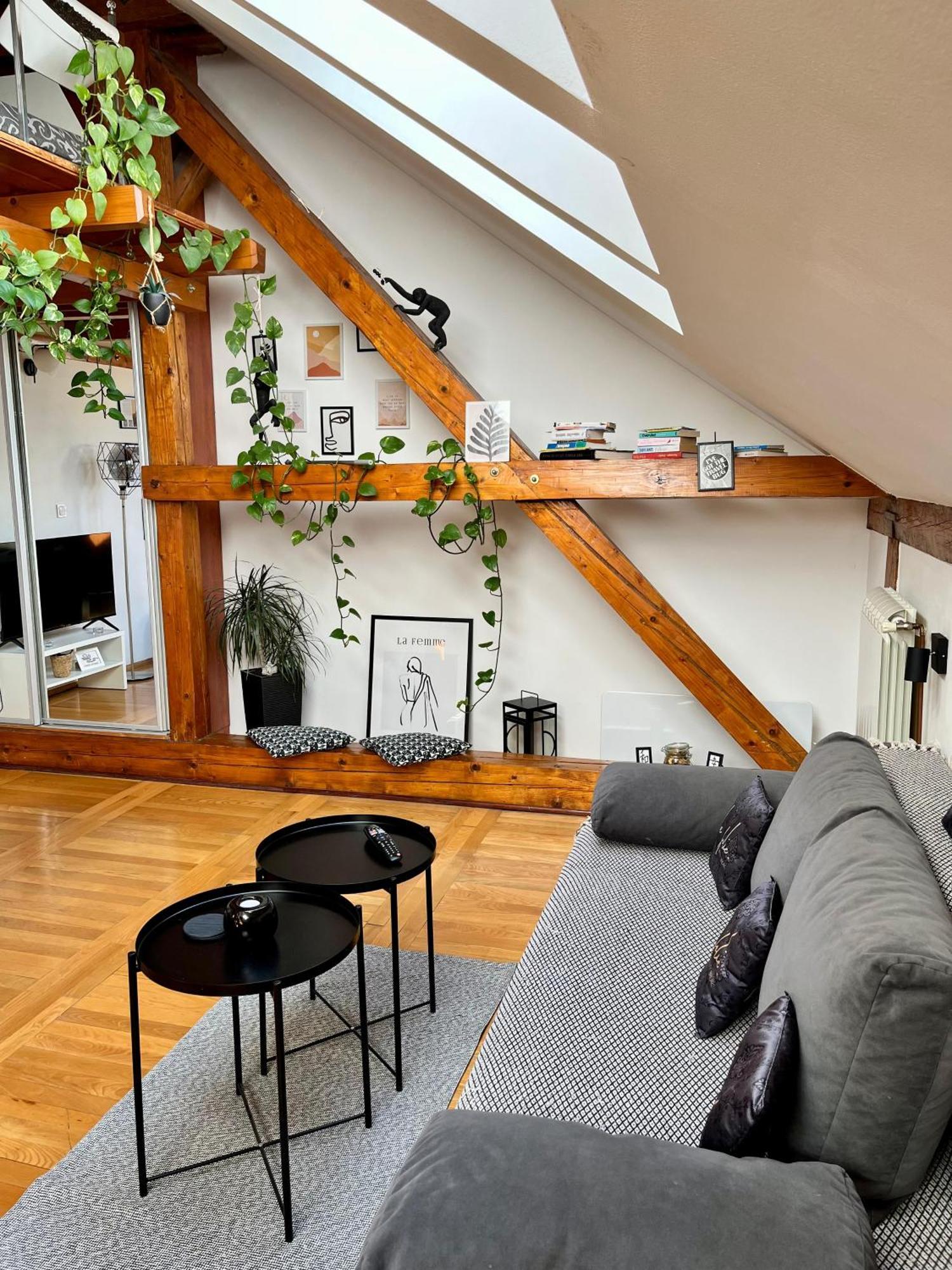Captain Misha'S Place Beograd Eksteriør billede